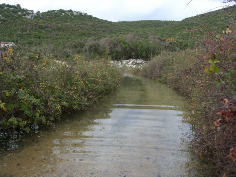 Poplava (50)
